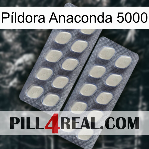 Píldora Anaconda 5000 07.jpg